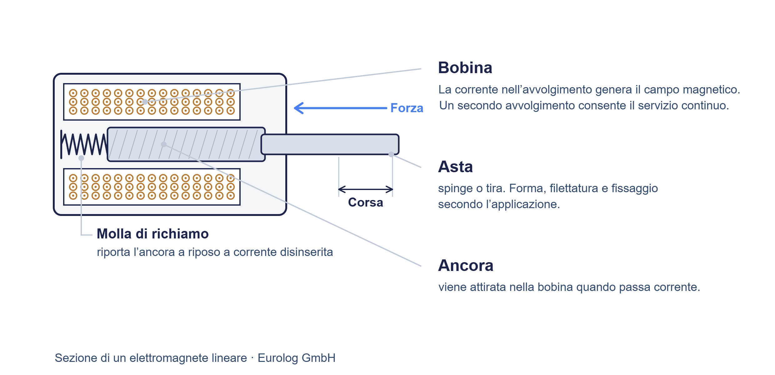 Sezione di un elettromagnete lineare con bobina, ancora, asta e molla di richiamo